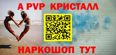 шишки Новодвинск