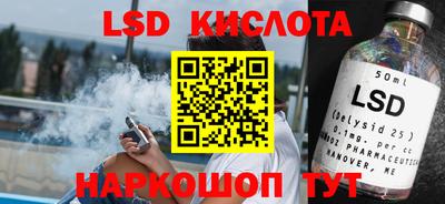 шишки Новодвинск