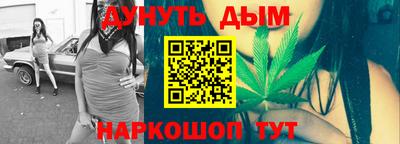 шишки Новодвинск