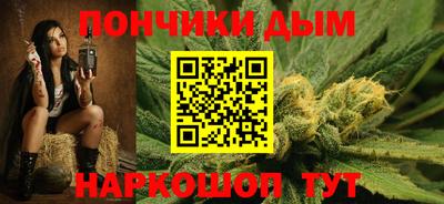 шишки Новодвинск