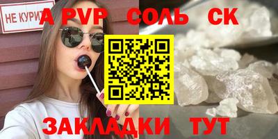 шишки Новодвинск