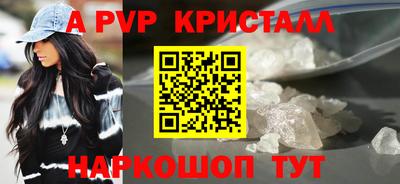 шишки Новодвинск