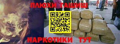 шишки Новодвинск