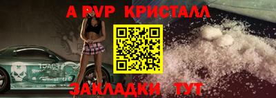 шишки Новодвинск