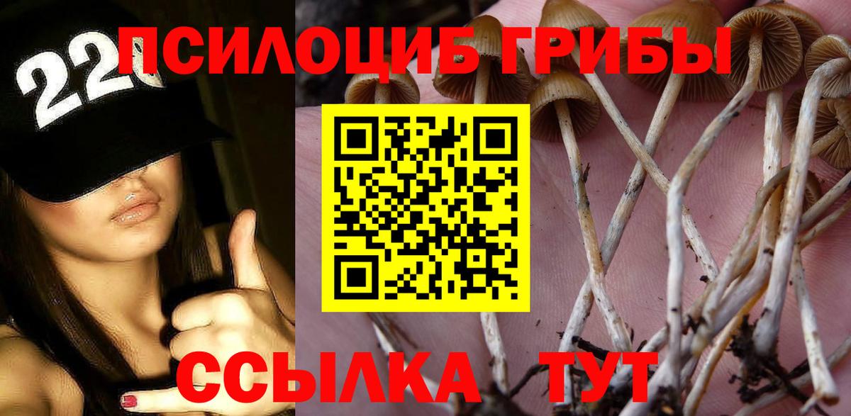 Тавда  Псилоцибиновые грибы мухоморы  Вход с VPN 